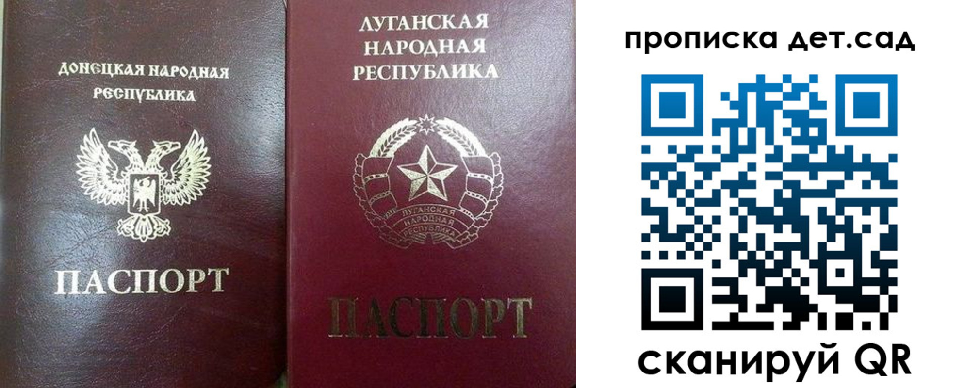прописка регистрация в Светлогорске